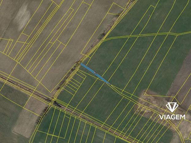 Prodej podílu pole, Horušice, 38 m2