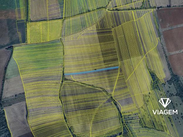 Prodej pole, Kněždub, 6276 m2