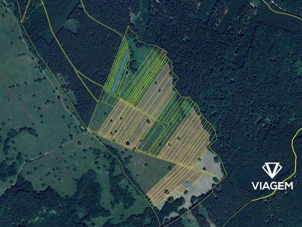 Prodej podílu pole, Slavkov, 566 m2