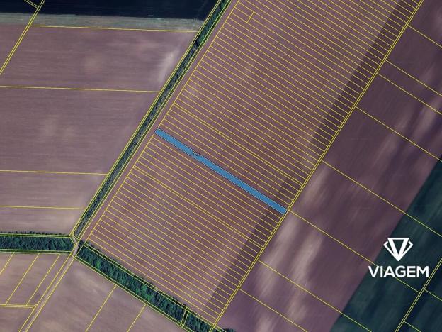 Prodej podílu pole, Litobratřice, 2999 m2