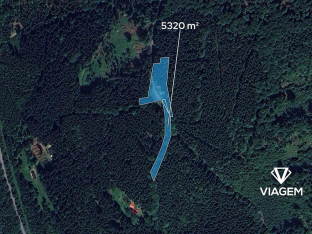 Prodej podílu lesa, Morávka, 886 m2