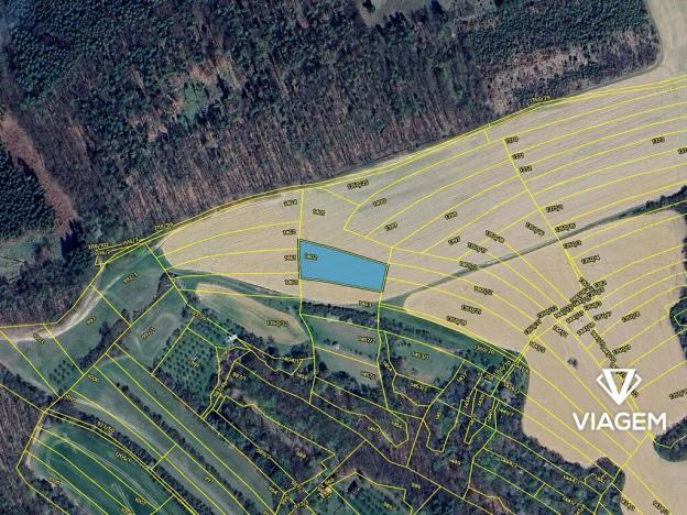 Prodej podílu pole, Traplice, 847 m2