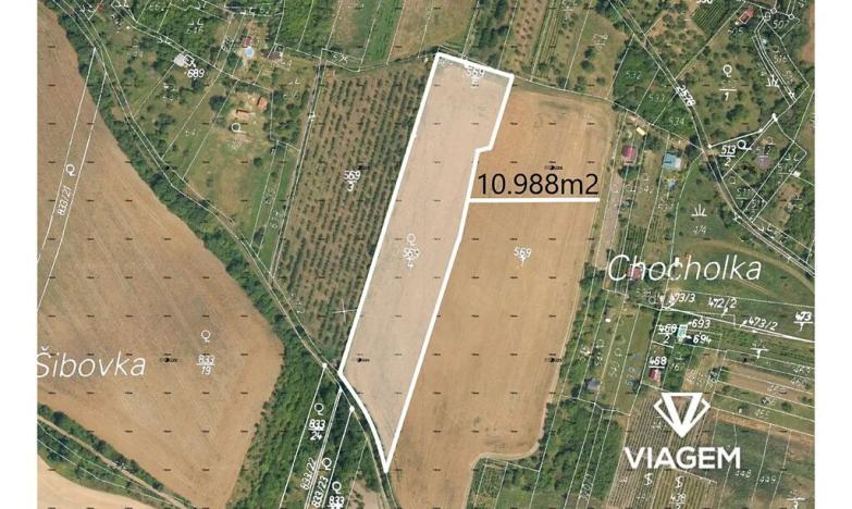 Prodej podílu pole, Třebenice, 5494 m2