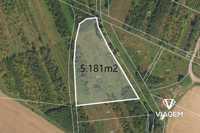 Prodej pole, Třebařov, 5181 m2