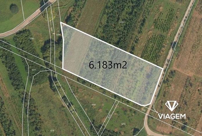 Prodej pole, Třebařov, 6183 m2