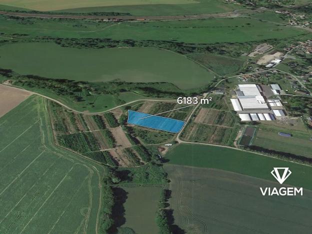 Prodej pole, Třebařov, 6183 m2