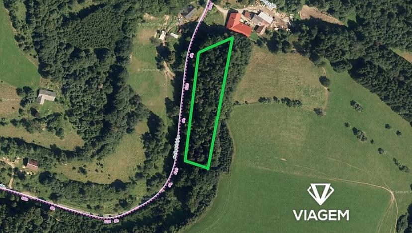 Prodej podílu lesa, Cotkytle, 277 m2