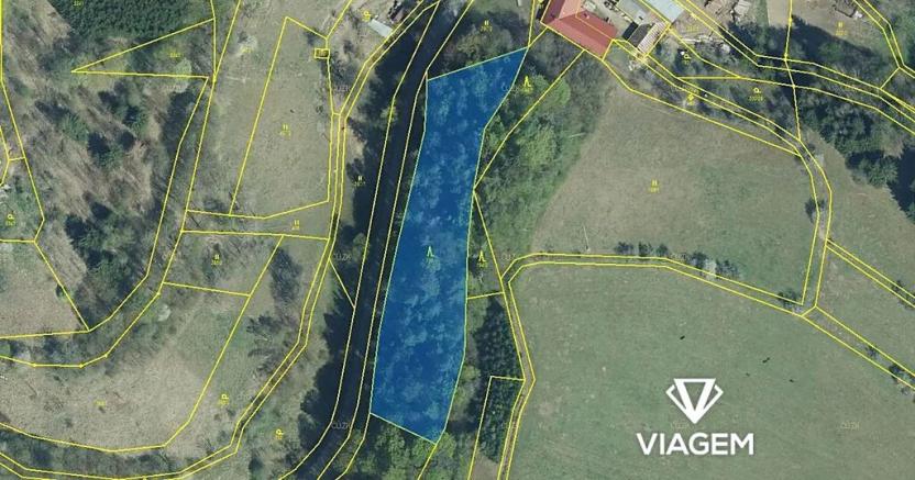 Prodej podílu lesa, Cotkytle, 277 m2