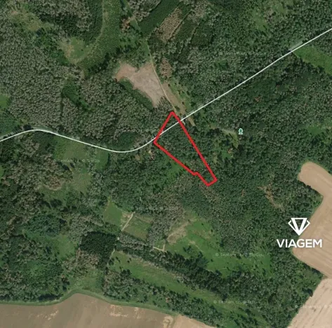 Prodej lesa, Račice, 5005 m2