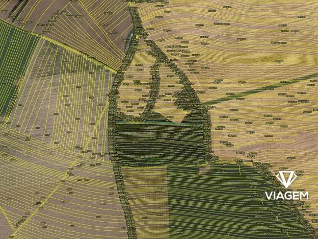 Prodej podílu lesa, Hluk, 547 m2