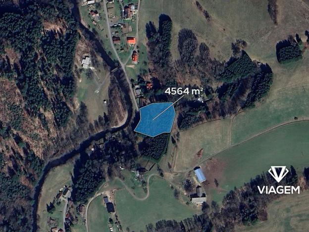 Prodej lesa, Klášterec nad Orlicí, 4564 m2