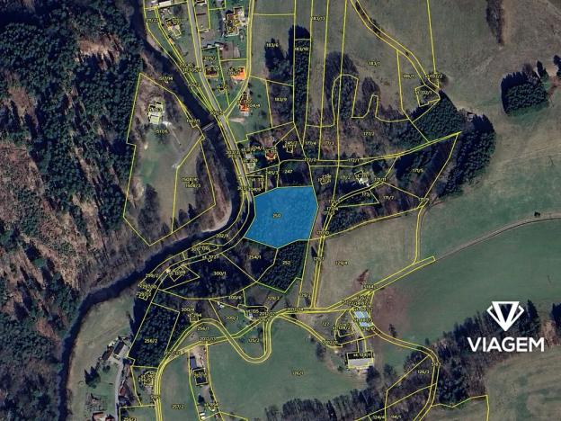 Prodej lesa, Klášterec nad Orlicí, 4564 m2