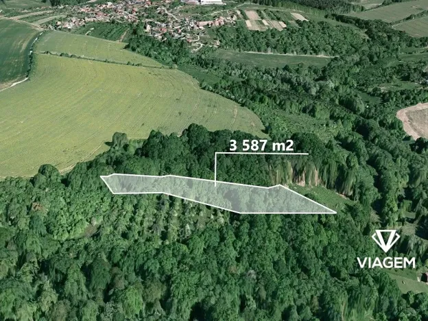 Prodej podílu lesa, Lhota, 275 m2