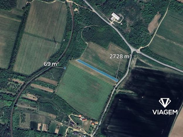 Prodej podílu pole, Olbramovice, 699 m2