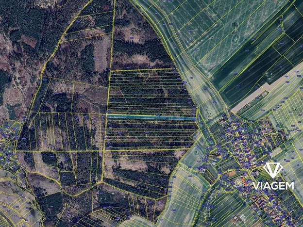 Prodej podílu lesa, Budětsko, 990 m2