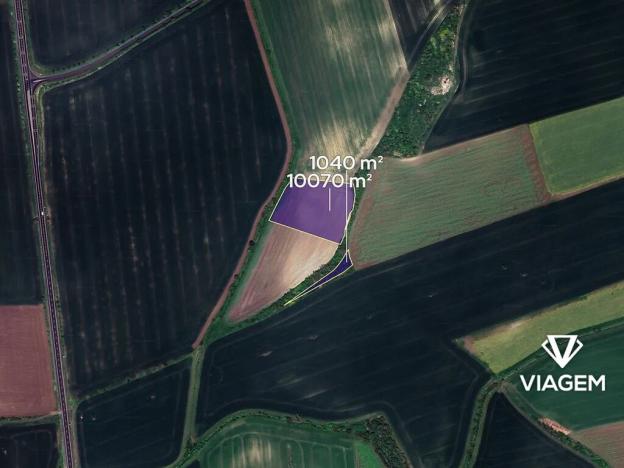 Prodej podílu pole, Bělušice, 1388 m2