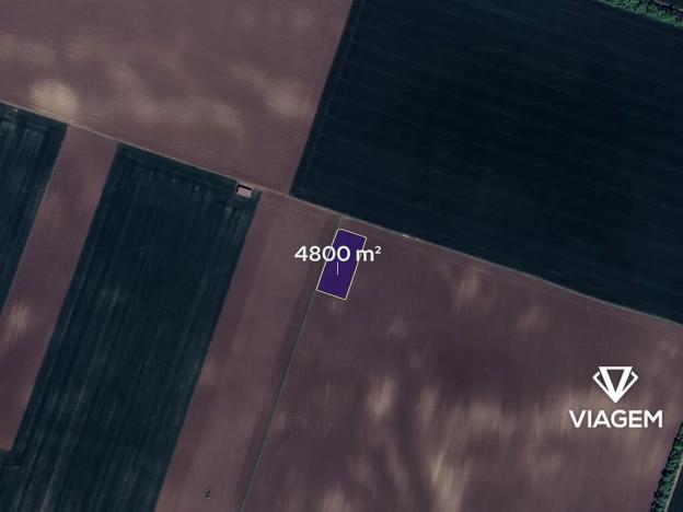 Prodej pole, Troskotovice, 4800 m2