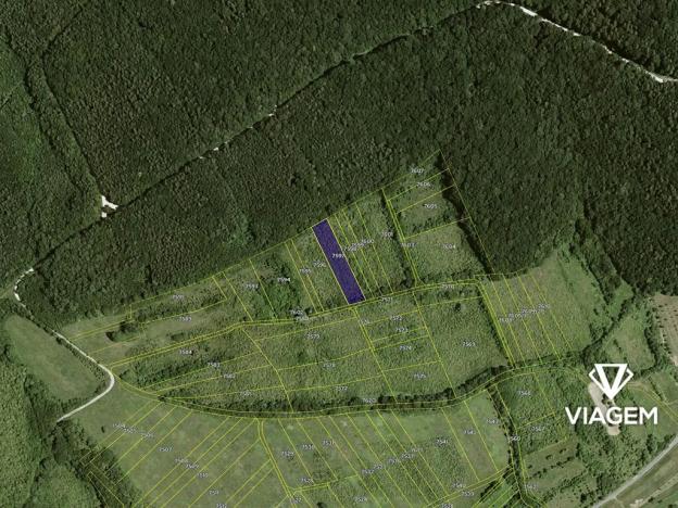 Prodej pole, Javorník, 2217 m2