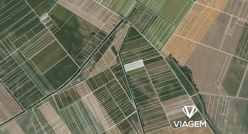 Prodej podílu pole, Moravský Žižkov, 2017 m2