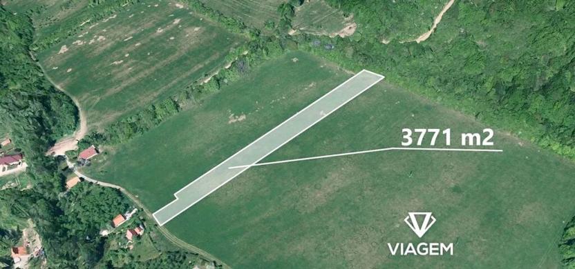 Prodej podílu pole, Javorník, 471 m2