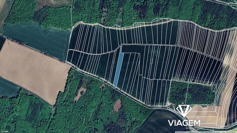 Prodej pole, Nová Ves, 5888 m2