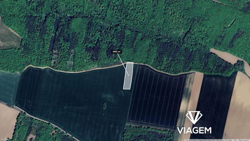 Prodej pole, Nová Ves, 6491 m2