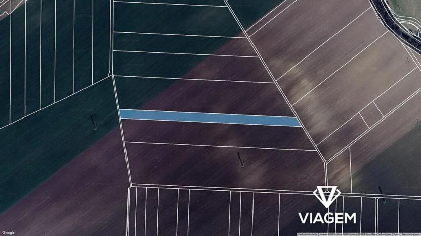 Prodej pole, Víceměřice, 5027 m2