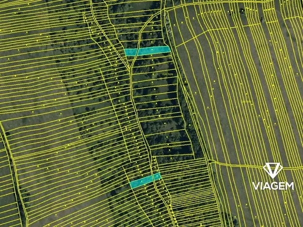 Prodej podílu lesa, Kněždub, 546 m2