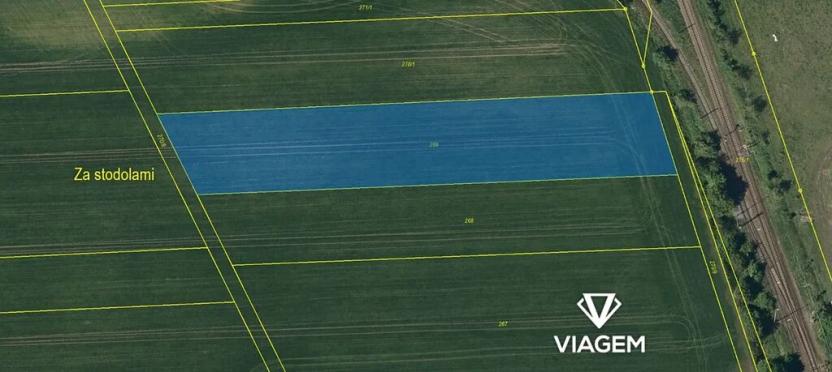 Prodej pozemku pro bydlení, Víceměřice, 4978 m2