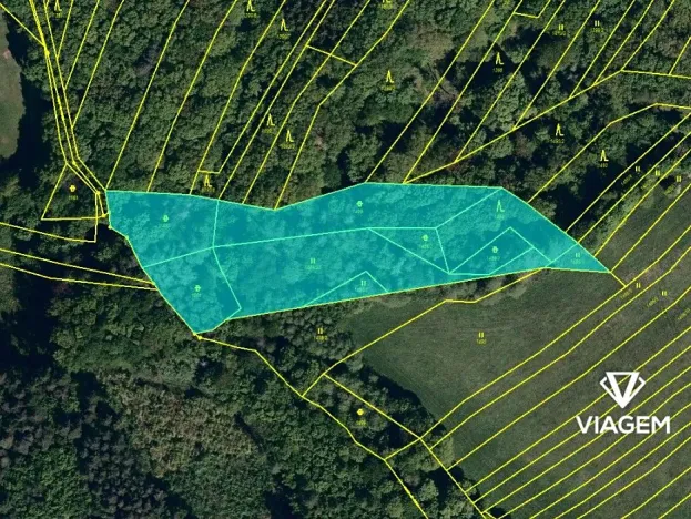 Prodej podílu lesa, Velký Ořechov, 1567 m2
