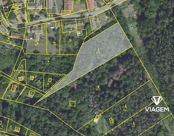 Prodej lesa, Sýkořice, 3177 m2