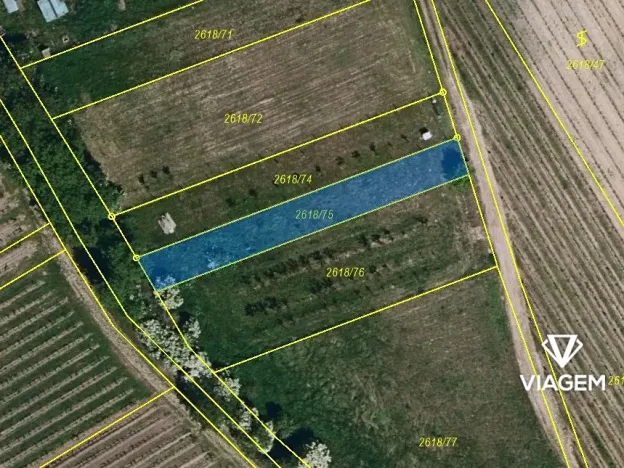 Prodej zahrady, Velké Bílovice, 388 m2