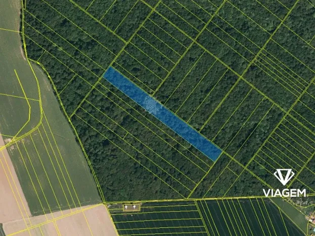 Prodej lesa, Hněvošice, 18551 m2