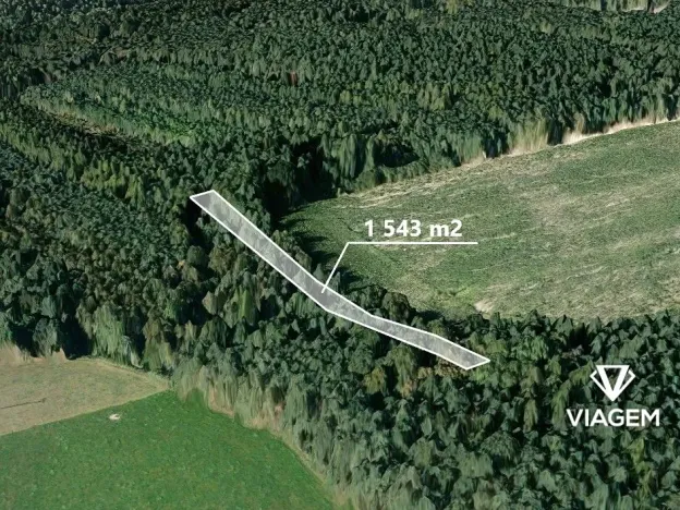 Prodej lesa, Třemošná, 1543 m2