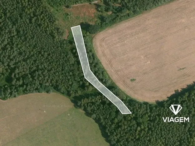 Prodej lesa, Třemošná, 1543 m2