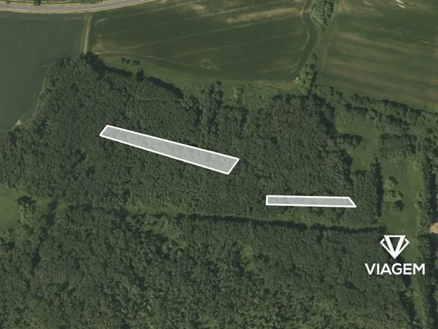 Prodej lesa, Kravaře, 7842 m2