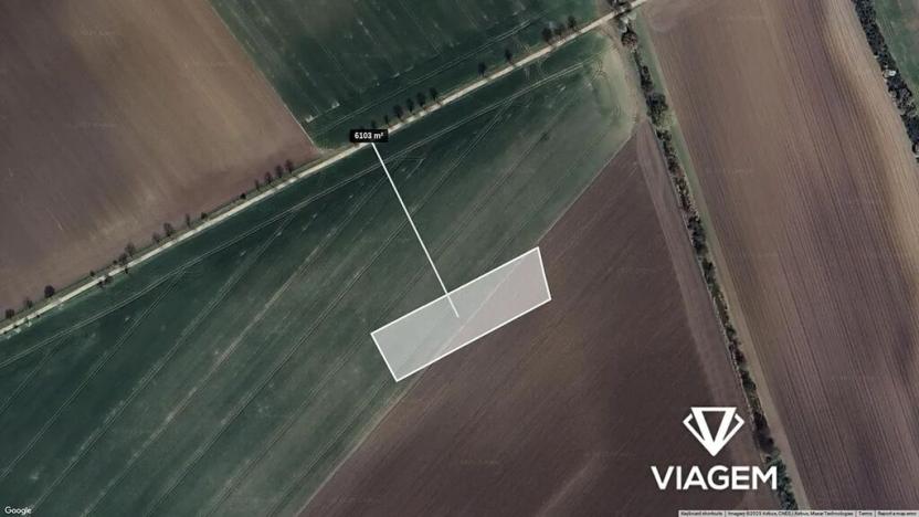 Prodej podílu pole, Třibřichy, 381 m2