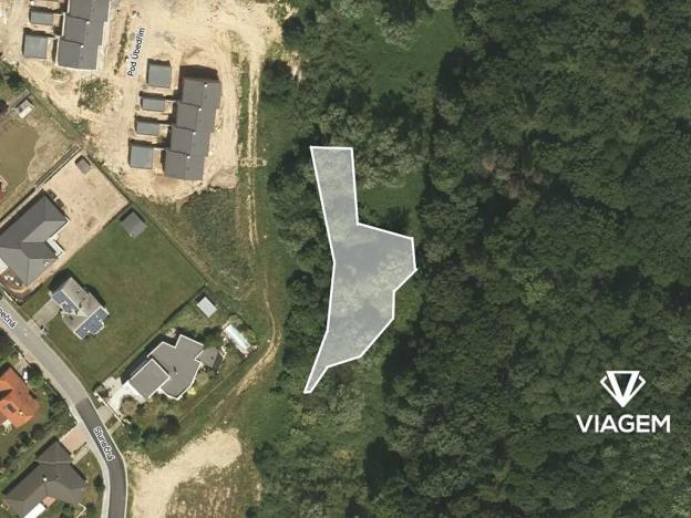 Prodej lesa, Velká Polom, 1258 m2