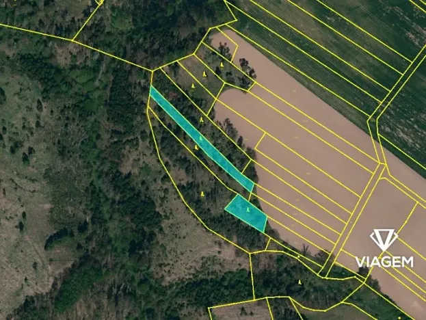 Prodej lesa, Čikov, 2239 m2