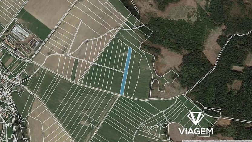 Prodej pole, Buková, 5884 m2