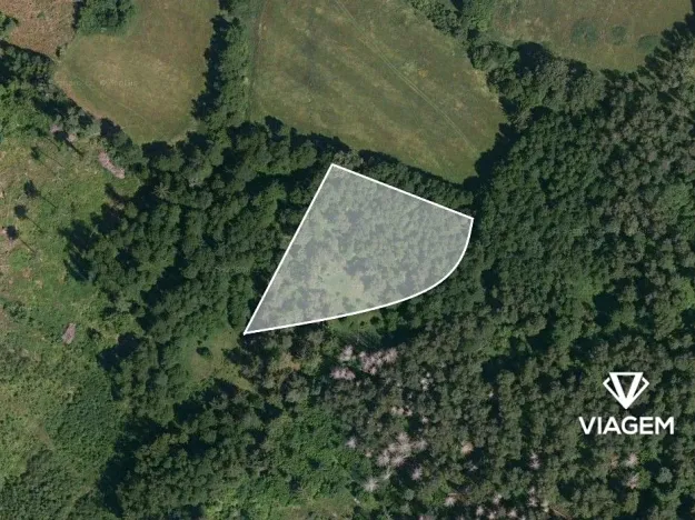 Prodej podílu lesa, Bukovník, 1306 m2