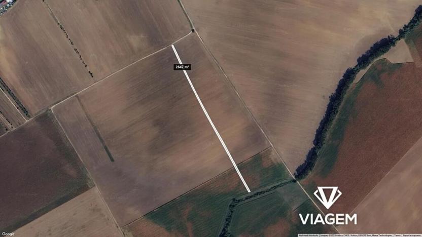 Prodej pole, Dolní Bojanovice, 2647 m2