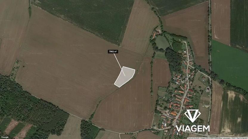 Prodej podílu pole, Jankovice, 3981 m2