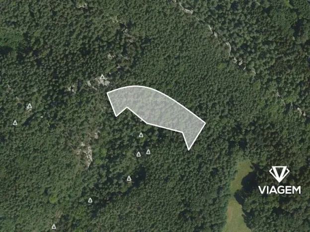 Prodej podílu lesa, Mírová pod Kozákovem, 2093 m2