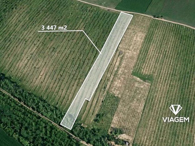 Prodej podílu sadu/vinice, Brumovice, 1723 m2