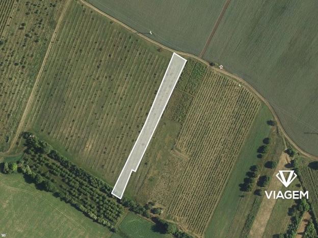 Prodej podílu sadu/vinice, Brumovice, 1723 m2