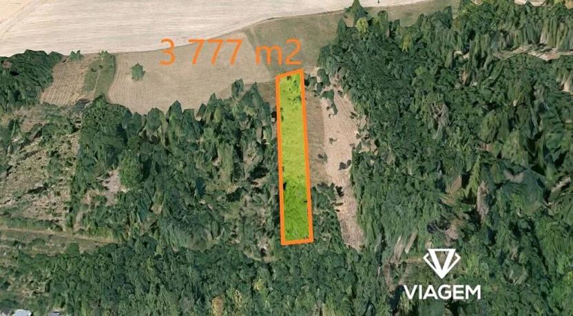 Prodej lesa, Hradec nad Moravicí, 3777 m2