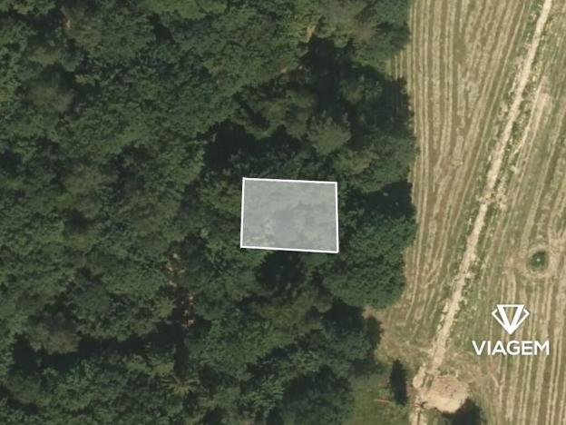 Prodej lesa, Opava, 233 m2