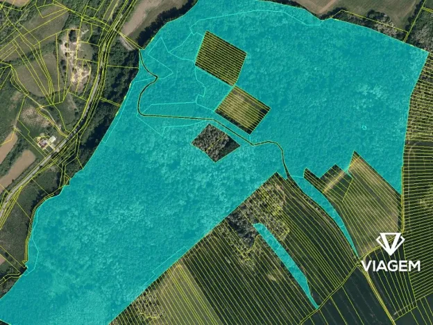 Prodej podílu lesa, Žeravice, 11303 m2