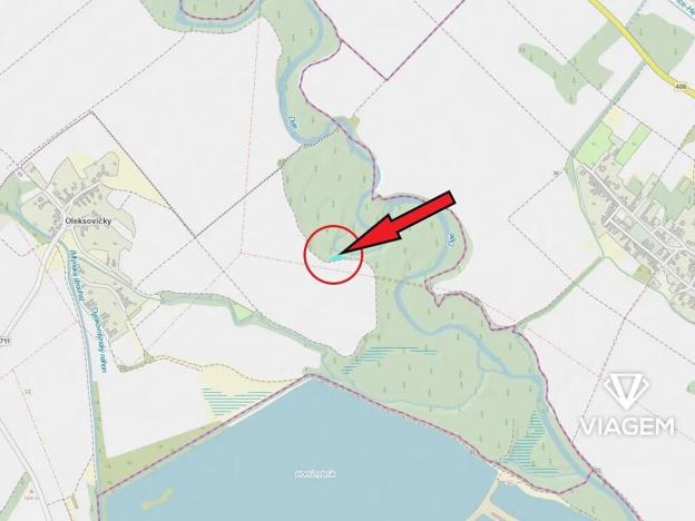 Prodej lesa, Slup, 443 m2